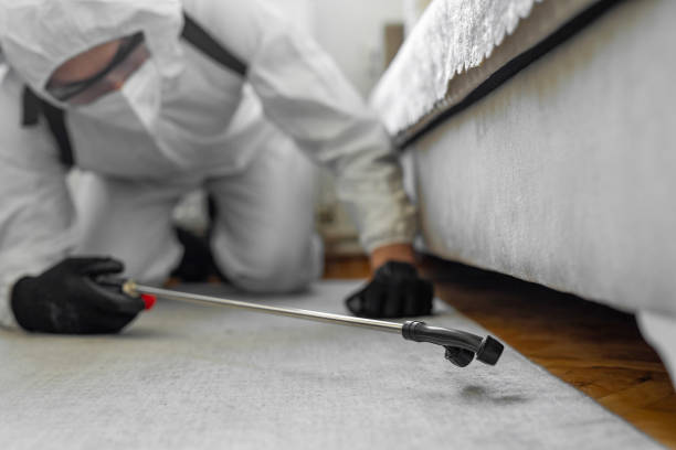 Professional Bed Bug Control technician working in Morris County County, KS
